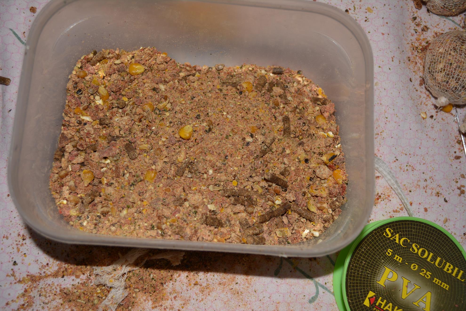 Pregatiri pentru concurs - dsc0057.JPG